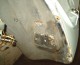 Thumbs/tn_Rost 2.jpg